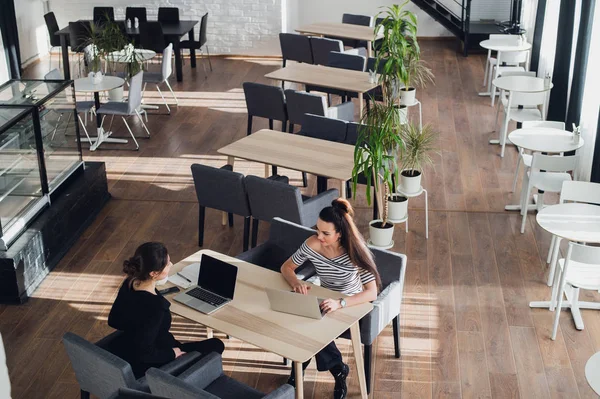 One-on-one meeting.Two young business women sitting at table in cafe. Girl shows colleague information on laptop screen. Girl using smartphone. Teamwork, business meeting. Freelancers working.