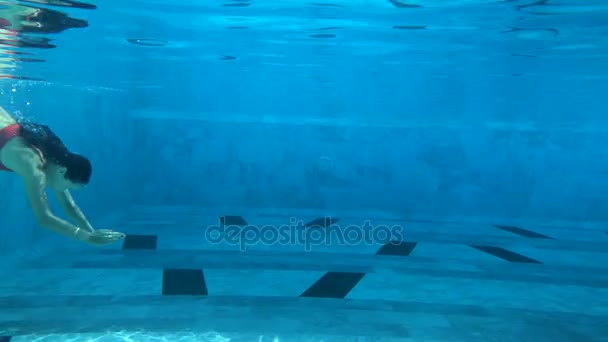 Beautiful young woman swimming under water in pool — Stock Video