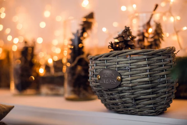 Ramos de abeto com cones na cesta sob abeto. Natal e Ano Novo cartão de decoração — Fotografia de Stock