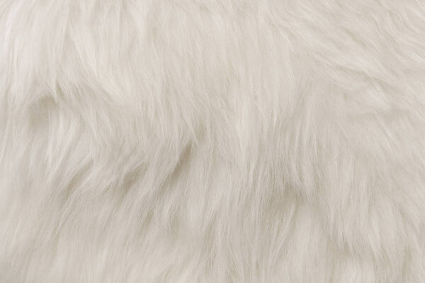 White flufy textile close-up. Faux fur background.