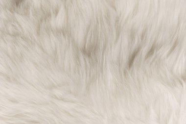 Beyaz flufy Tekstil yakın çekim. Faux kürk arka plan.