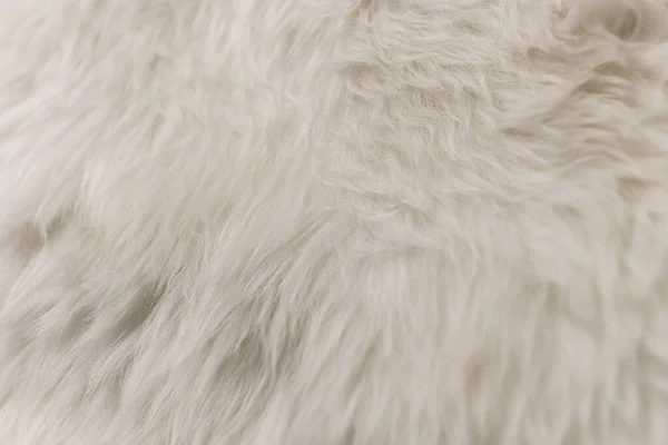 White artificial fur texture for background close-up