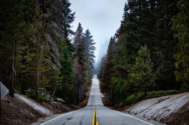 Sequoia Ulusal Parkı, Kaliforniya, ABD 'de dik bir yol..