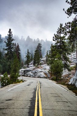 Sequoia Ulusal Parkı 'na giden yol eğrisi