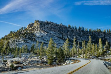 Güneşli bir günde Sierra Nevada dağ manzarası boyunca uzanan boş bir yol. Yazın açık mavi gökyüzü, Yosemite Ulusal Parkı, Kaliforniya, ABD.