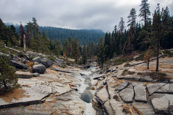 Una vista superior de un valle profundo con un pequeño río rodeado de pinos en las montañas en el parque nacional de Yosemite a finales de la primavera . — Foto de Stock