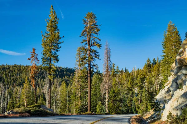 Camino vacío que atraviesa el paisaje montañoso de Sierra Nevada con un día soleado con cielo azul claro en verano, Parque Nacional Yosemite, California, EE.UU. . — Foto de Stock