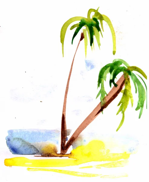 Летние Пальмы Морской Пляж Акварель Иллюстрация Призвание Путешествия Океан Остров Лицензионные Стоковые Фото