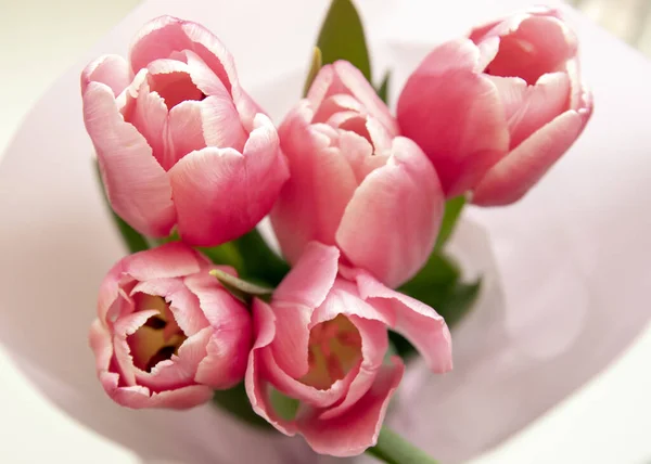 Frühlingsblumen Strauß Rosa Tulpen — Stockfoto