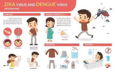 Zika virüsü ve dang virüs Infographic.