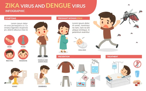 Zika virus a dengue viru infografika. — Stock fotografie