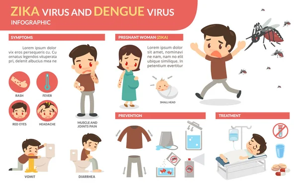 Zika virüsü ve dang virüs Infographic.