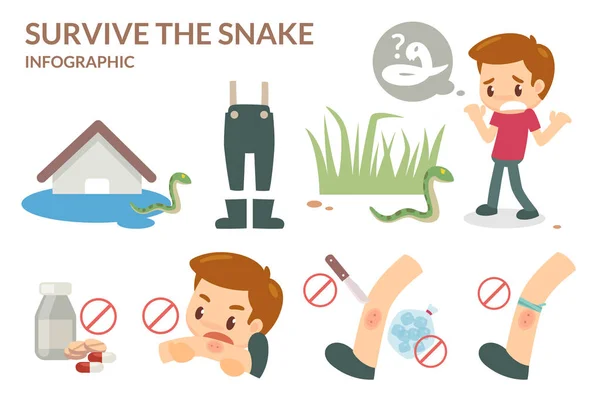 How to survive the snake, serpent, or viper. — Stock Photo, Image