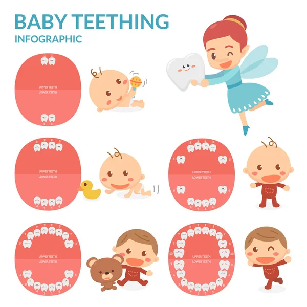 La dentición del bebé. Hada de los dientes. Período de erupción y desprendimiento de los dientes del bebé . —  Fotos de Stock