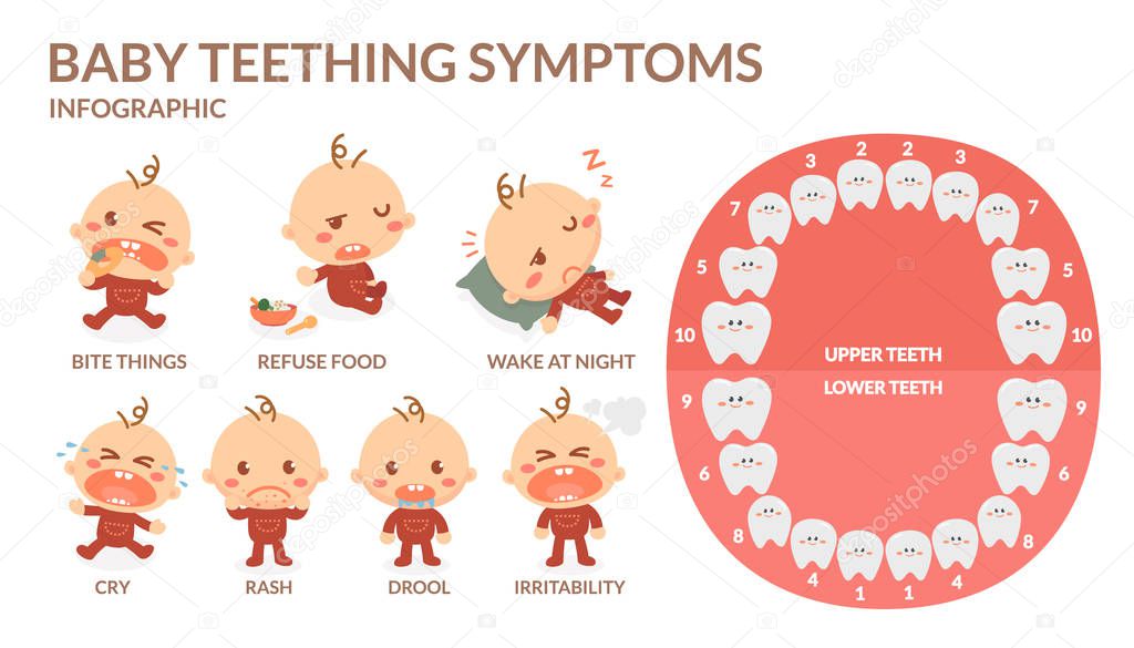 Baby teething symptoms. Rash, Drool, Irritability, Refuse food , Bite, Cry, Wake at night.