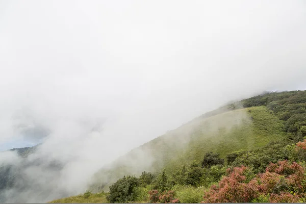 Nevoeiro no topo da colina com campo colorido . — Fotografia de Stock