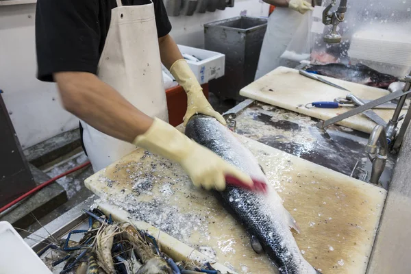 スーパー マーケットでニットのサーモン ピンクの魚 — ストック写真