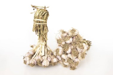 Beyaz üzerinde izole sarımsak buld 