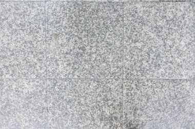 Mable kat, doğa arka plan