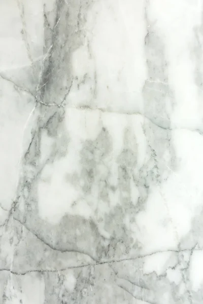 Mable kat, doğa arka plan