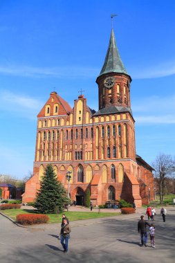 Kaliningrad şehir katedral, sembol