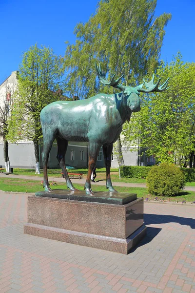 Statua dell'alce - un simbolo della città Gusev (Gumbinnen ) — Foto Stock