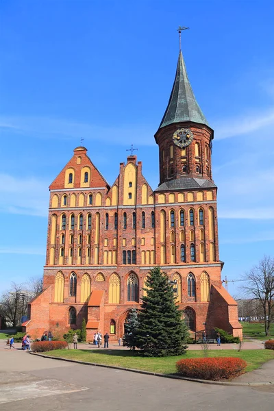 Den restaurerede katedral et symbol på byen Kaliningrad - Stock-foto