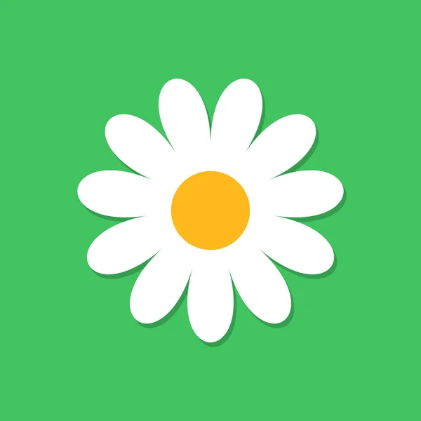Kwiat rumianku wektor ikona płaski. O ilustracja stokrotka — Wektor stockowy