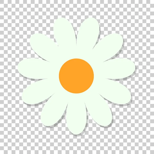 Icône vectorielle fleur de camomille dans un style plat. Illustration de marguerite o — Image vectorielle
