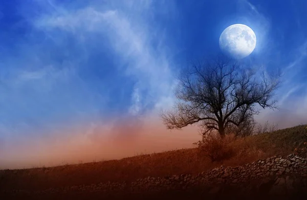 The moon over a landscape. — Stock Photo, Image