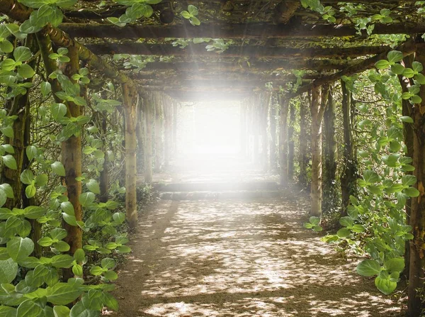 Trasfondo Religioso Fondo Del Ramadán Paraíso Cielo Luz Cielo Camino —  Fotos de Stock