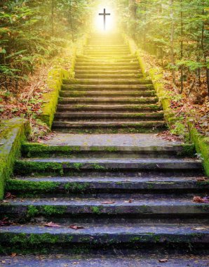  Güneşe doğru giden adımları. Tanrı'ya yolu. cennetten gelen parlak bir ışık. Dini arka plan. Güneş ışığı yeşil ormanın içinde. Cennet kapıları. Christian Cross. Gökten gelen ışık. çapraz güzel
