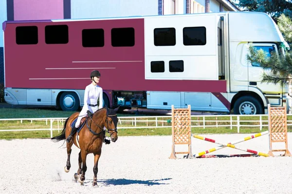 馬の乗り物だ馬を運ぶ 馬の輸送のための自動トレーラー 輸送家畜だ馬の輸送車だ若い娘が馬に乗っている — ストック写真