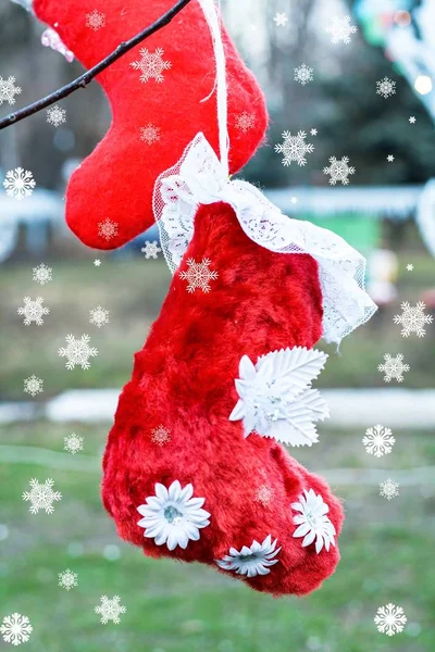 Червоні Шкарпетки Дереві Тло Різдво Купити Шкарпетки Дітей Відкритому Повітрі — стокове фото