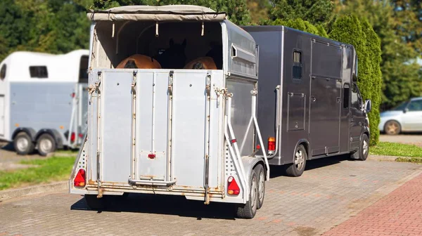 马的车 马的运输 汽车拖车 用于马匹运输 运输牲畜 马术运动 — 图库照片