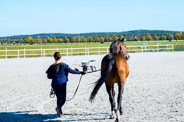 Ung Kvinna Tar Hand Sin Häst — Stockfoto