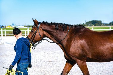 Genç bir kadın atına bakıyor. . 