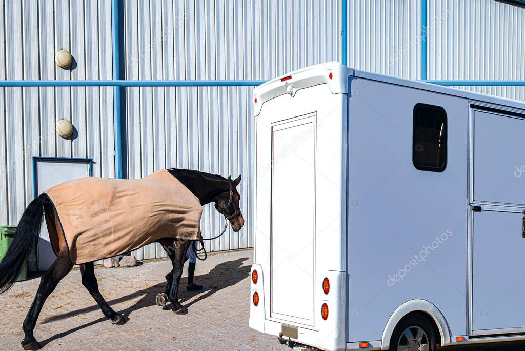 horse vehicle .  Carriage for horses . Auto trailer for transportation of horses . transportation livestock . Horse transportation van , equestrian spo