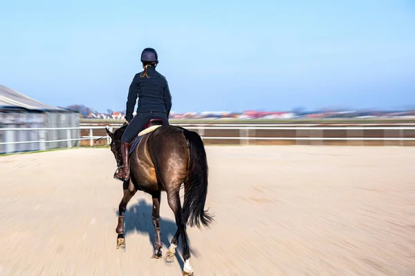 若い娘が馬に乗っている 乗馬スポーツの詳細 ギャロップでのスポーツ馬とライダー — ストック写真