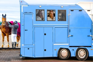 horse vehicle .  Carriage for horses . Auto trailer for transportation of horses . transportation livestock . Horse transportation van , equestrian spot