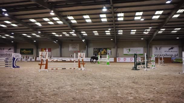 Paardensport Detail Land Polen Stad Leshne 2019 Februari Zonder Vergunning — Stockvideo