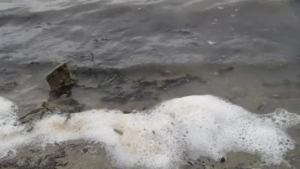 Pollution Water Foam Foam Water Pollution Canal — Stock Video