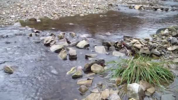 Stroom Door Rotsen Rotsen Waardoor Wit Water Ontstaat Zonnige Herfstdag — Stockvideo