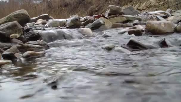 Forest Mountain River Bergrivierlandschap Wild Beekje Snelle Rivier — Stockvideo