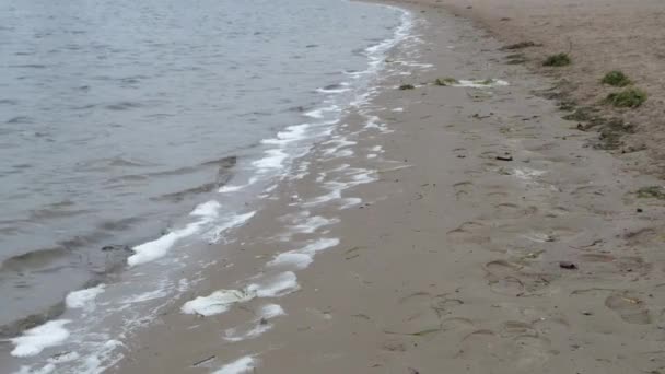 浜に打ち寄せる川波 — ストック動画