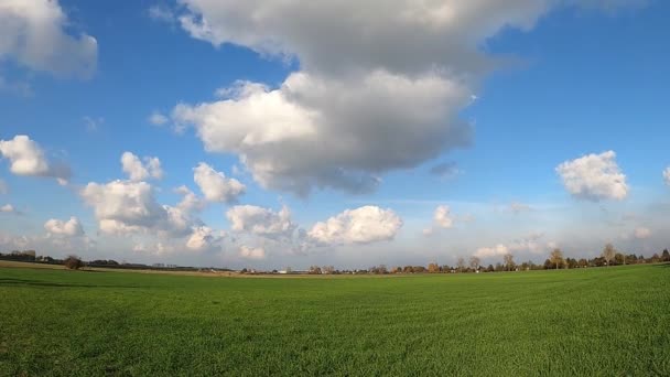 Primer Plano Nubes Cúmulos Fondo Cielo Azul Claro Período Tiempo — Vídeo de stock