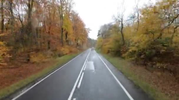 Автомобиль Едет Асфальтированной Дороге Осеннем Лесу Вид Дорогу Лобового Стекла — стоковое видео