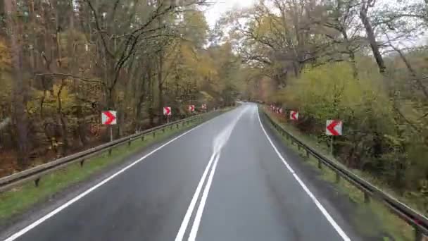 Sonbahar Ormanında Asfalt Yolda Giden Bir Araba Yağmurda Arabanın Camından — Stok video