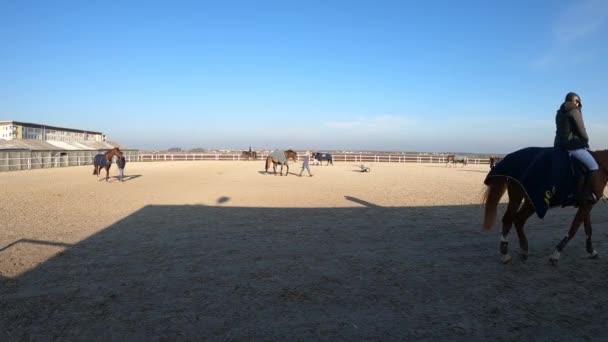 Cavaleiro Caminha Com Cavalo Segurando Rédeas Arena Areia Jockeys Cavalos — Vídeo de Stock