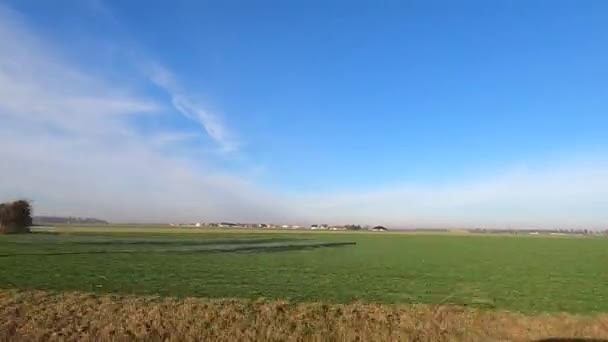 Autista Sta Guidando Una Vista Laterale Dei Campi Della Foresta — Video Stock